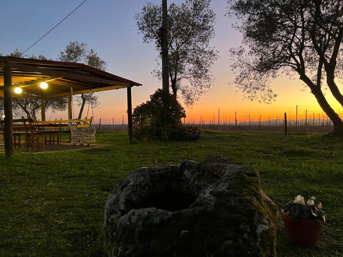 Agriturismo Tenuta Roccaccia Pitigliano Luaran gambar
