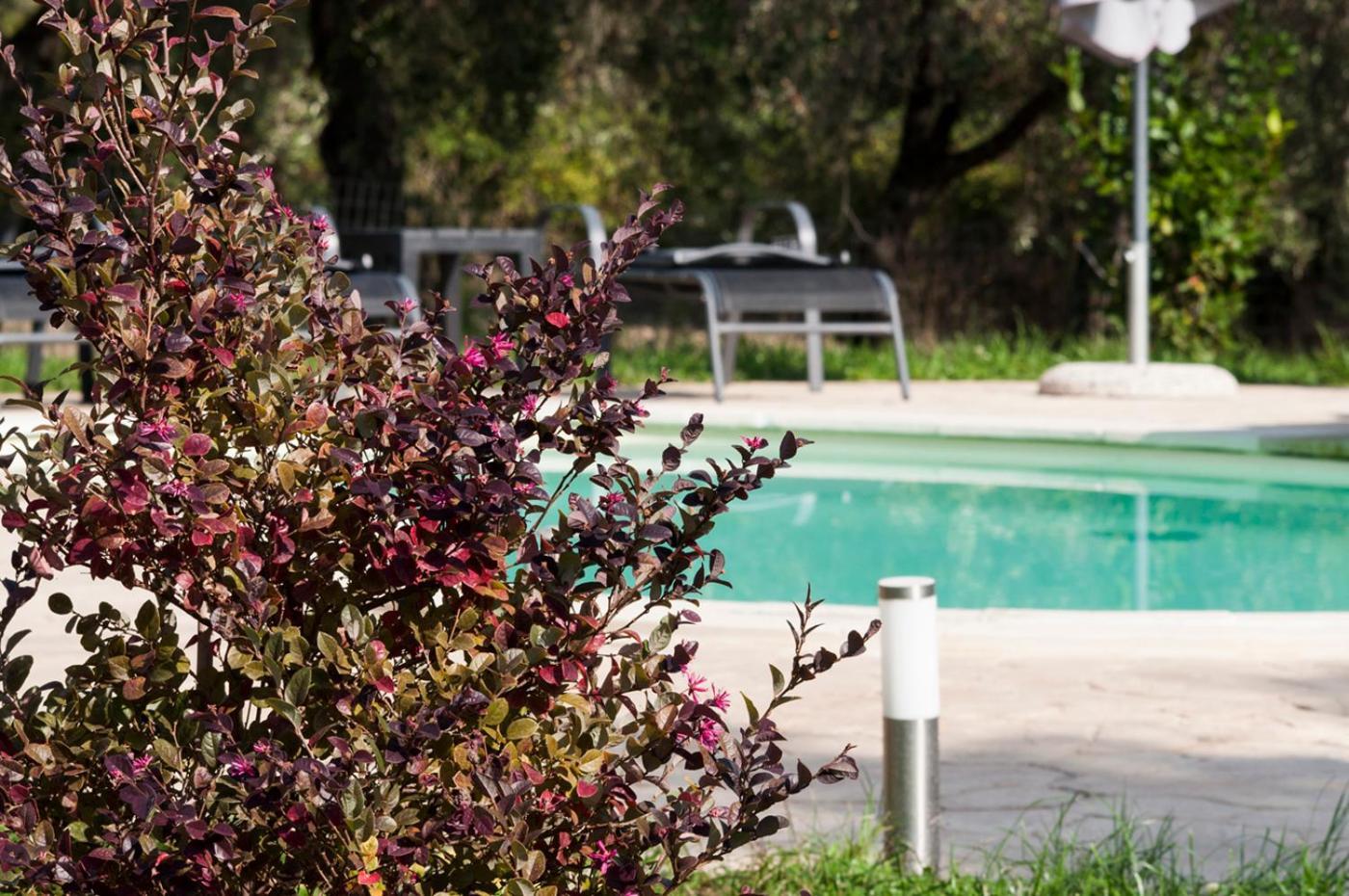 Agriturismo Tenuta Roccaccia Pitigliano Luaran gambar